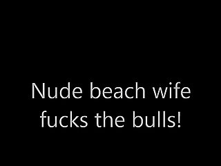 공공 과도한 노출 Nude Beach wife fuck the bulls!